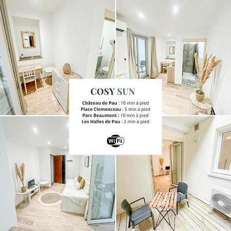 Cosy Sun - 1Ch - Avec Patio Privatif Leilighet Pau Eksteriør bilde
